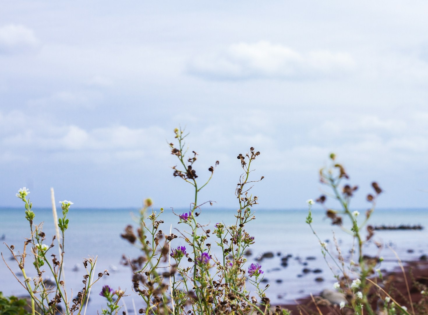 5 Ways to Cultivate Intentional Living Daily