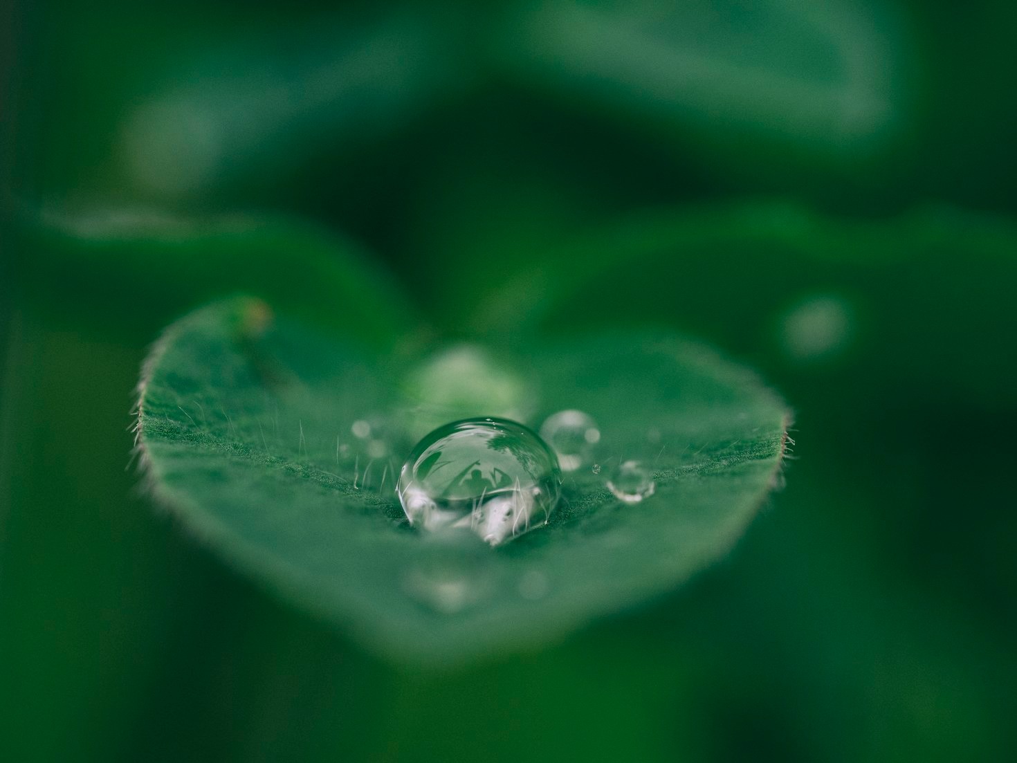 How to Navigate Life’s Intensity With Grace