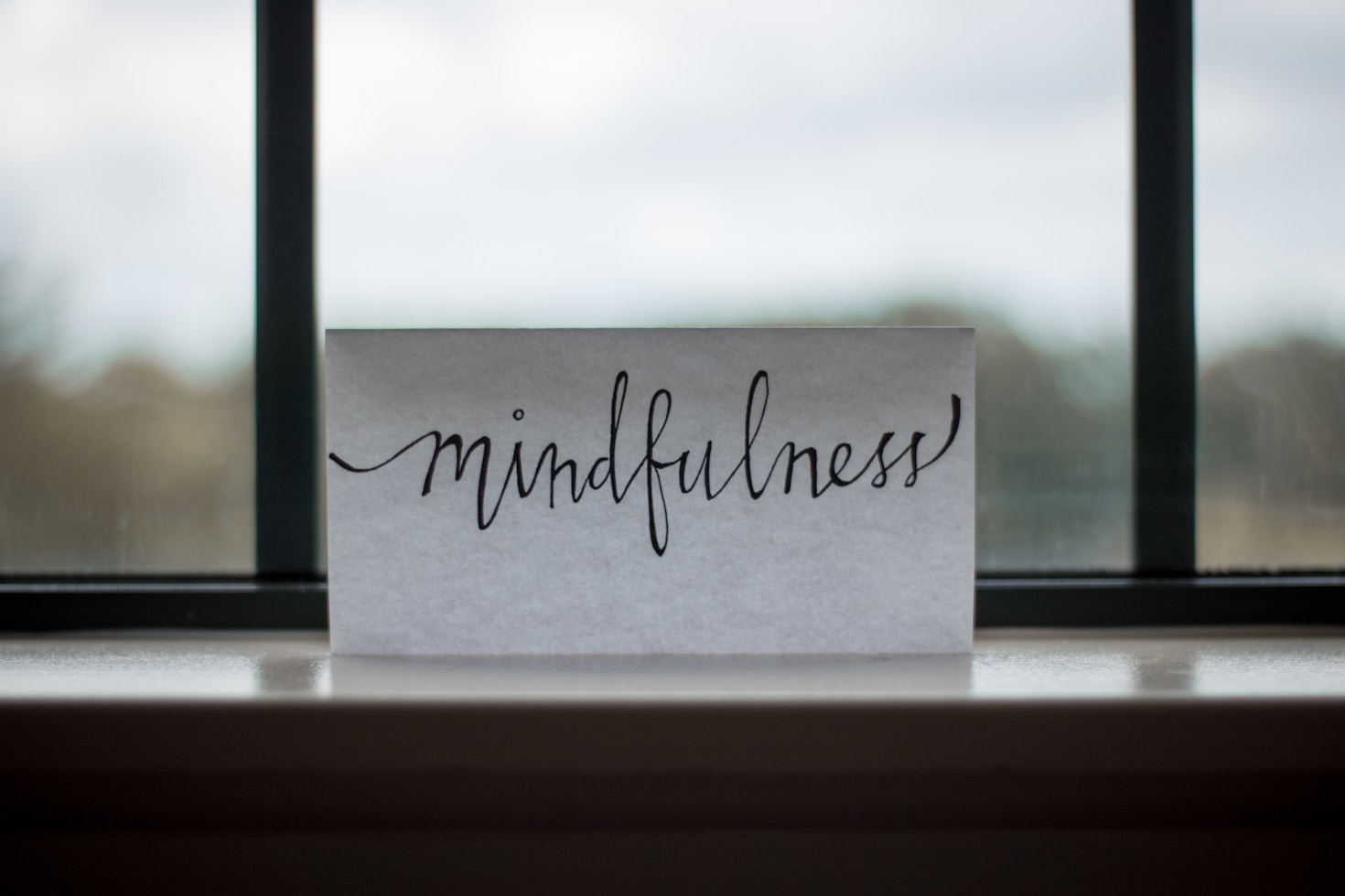 Elegant Wellness: A New Approach to Growth